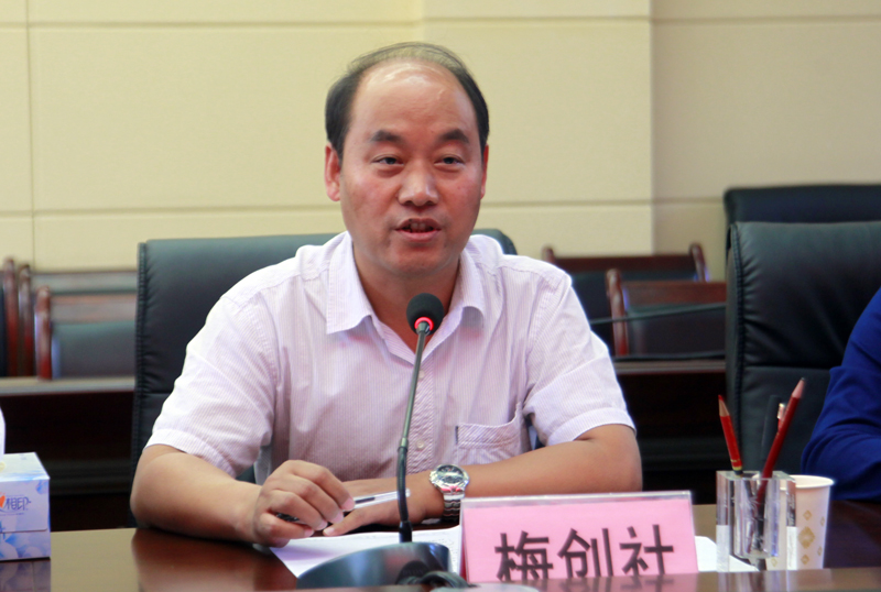 副院长梅创社讲话