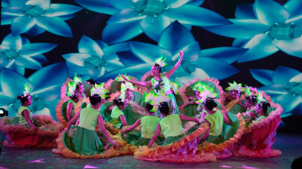 乐游棋牌大学生艺术团奉上精彩节目