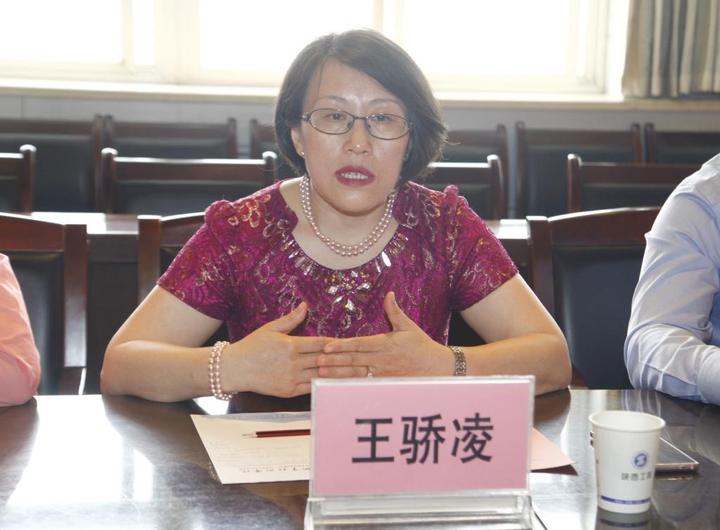 中国锅炉与锅炉水处理协会秘书长王骄凌讲话