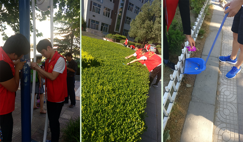 电气工程学院组织青年志愿者义务劳动