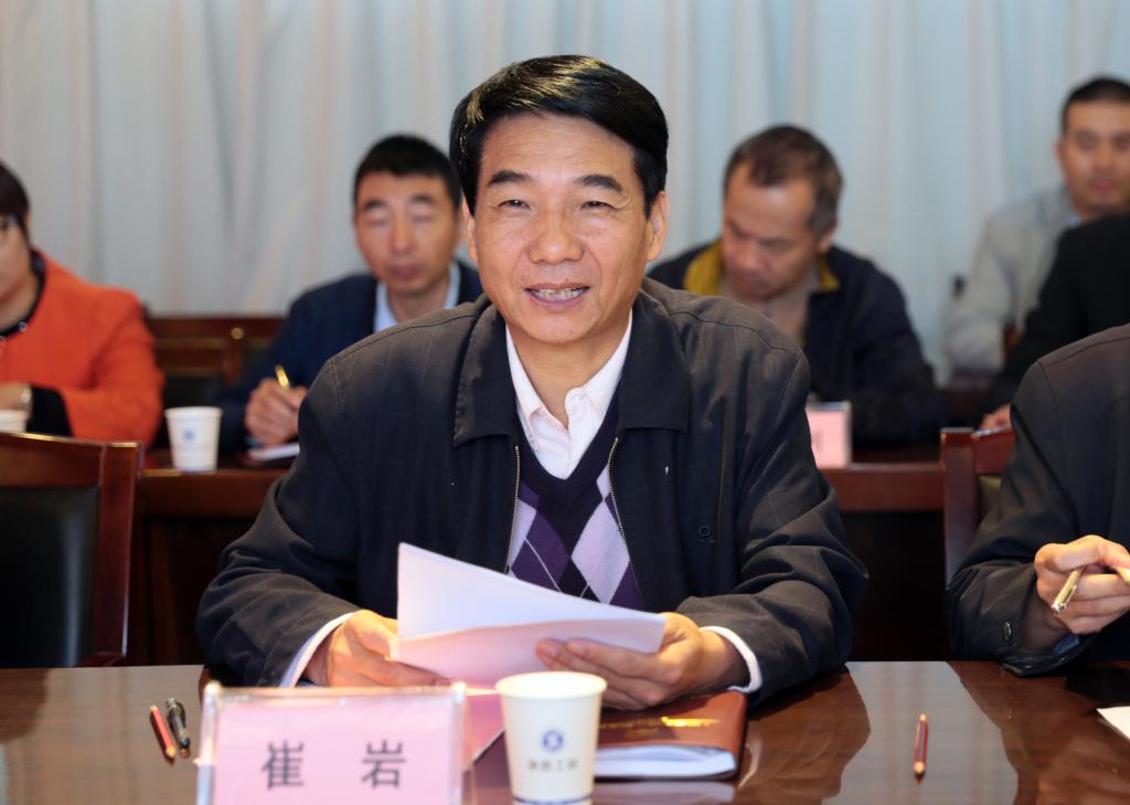 党委书记崔岩汇报乐游棋牌“两学一做”学习教育情况