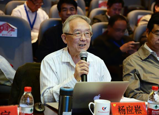 全国诊改专委会主任委员杨应崧教授现场点评