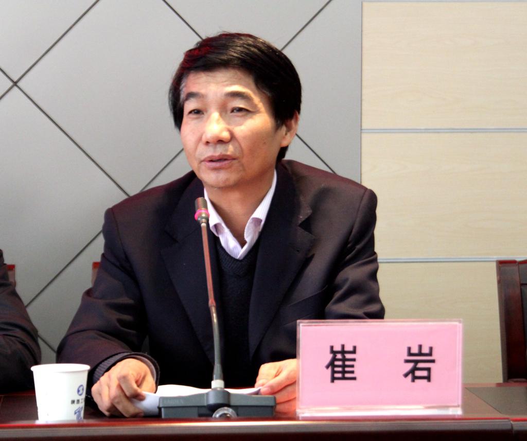 集团理事长、崔岩院长代表集团理事会向大会做工作报告