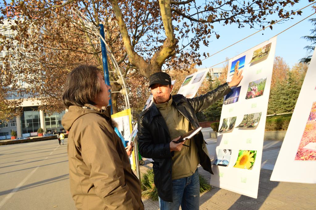 评委对作品进行评选