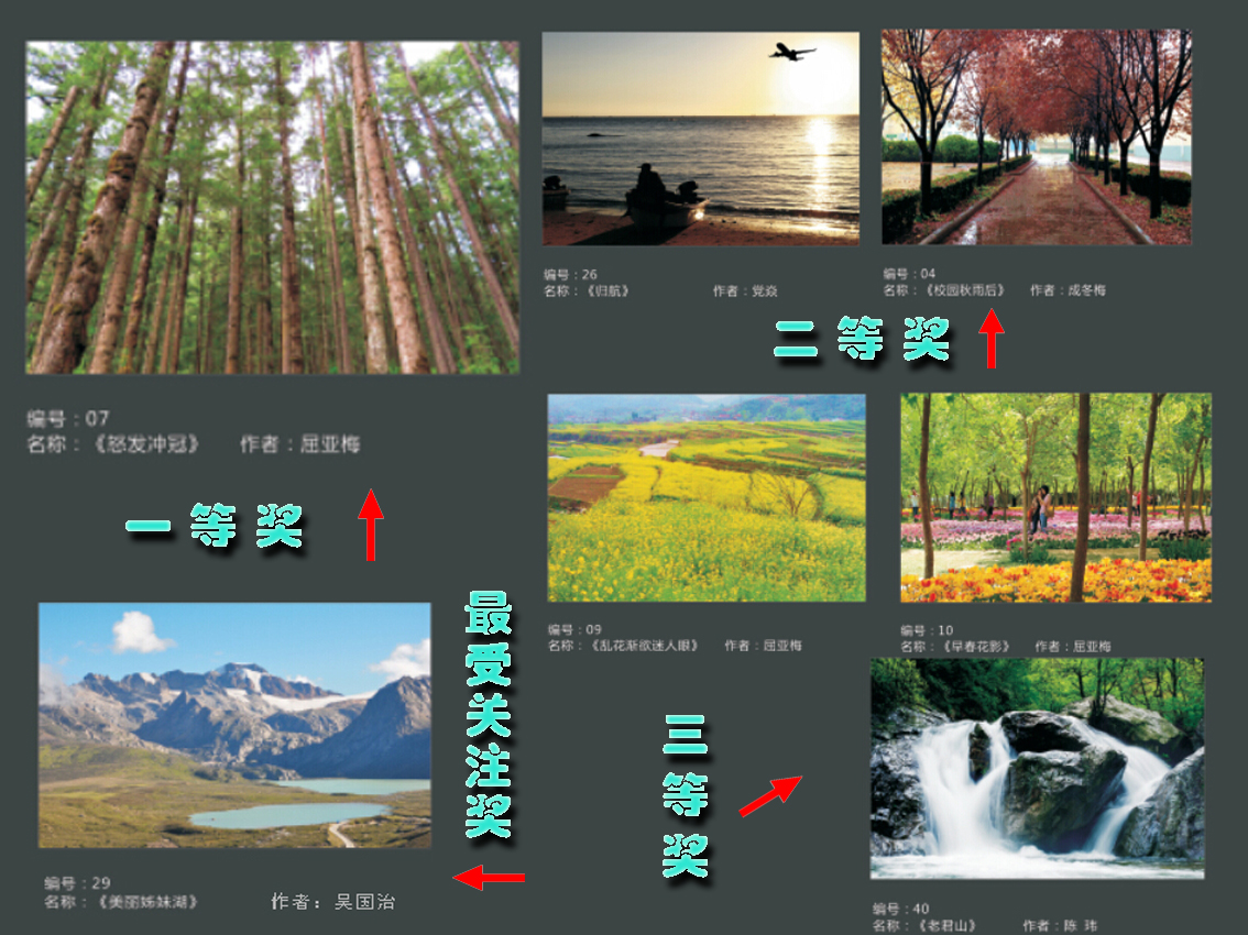 风光类获奖作品