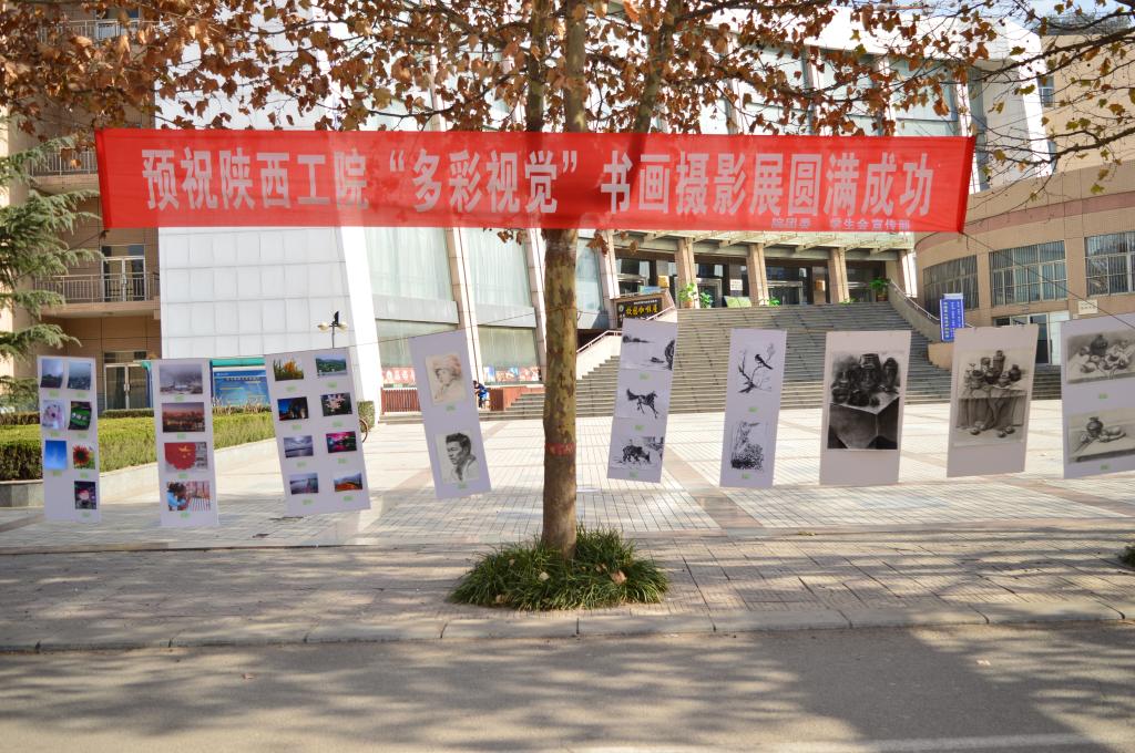 陕西工院“多彩视觉”书画摄影展在成才大道举办